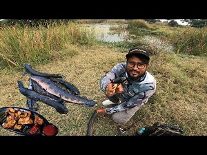 Best time for snakehead fishing and cooking | KAAL FISHER