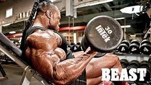 Rob Bailey - Beast