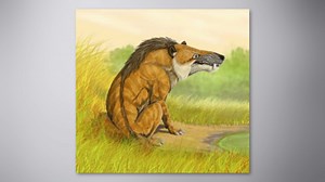 How familiar animals looked millions of years ago