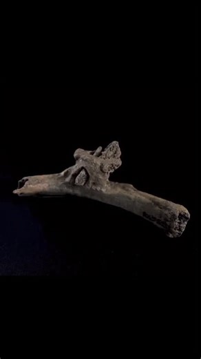 Recreating a 4000 year old arrowhead found in a human rib. - Mac CC: Recently I was watching Stefan Milo’s (@historysmilo) video from a few months ago “the horrifying archaeology of the first wars” when he showed this artifact here. This is a flint arrowhead embedded in a 4000 year old human rib, Found at the site Roc De Les Orenetes in southern Spain. I had the somewhat morbid idea to recreate this arrowhead because I’m very curious. This particular artifact present a unique challenge in that t