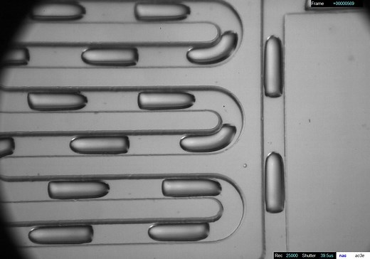droplet based microfluidics_25000fps (液滴微流控)