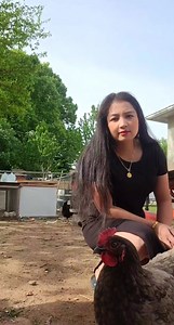 Taus ntev lawm | Nkaujhmoobzoo Ib