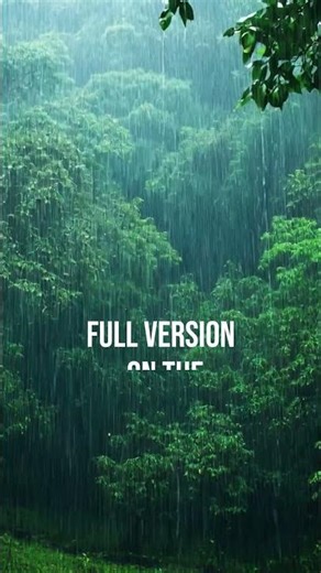 Instant Focus 🌧️ Rain + White Noise