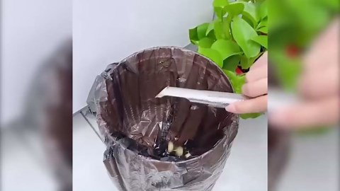 Stainless Steel Tea Diffuser, 2025 New Stainless Steel Tea Infuser, Mesh Strainer with Hanging Hook Handle, Tea Bags for Loose Leaf Tea, Tea Artifact Creative Pipe (1 PCS)