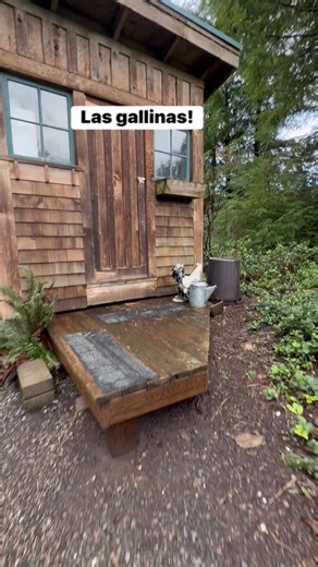 1.5K views · 16 reactions | #Manzanita Oregon | Rossi M. Turcios | Facebook