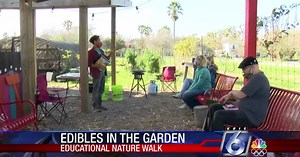 How to know which local wild plants are edible