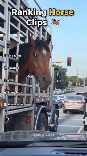 Ranking FUNNIEST Horse Clips! 🐎