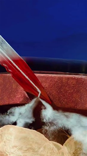 Explosive Shark Knife Demonstration