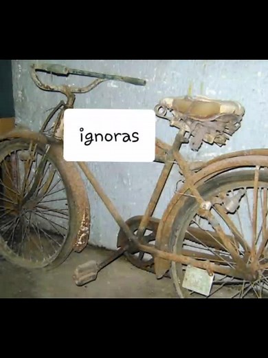 Cuentas recomendadas