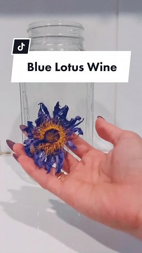 Discover the Calming Euphoria of Blue Lotus Tea