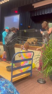 2.1K views · 36 reactions | Mrs. Edwards agreed to kiss a pig if we gained another Million Word Reader…Thanks to Juan in 4th grade! Go Wildcats! | West Decatur Elementary School-Decatur, Al | Facebook