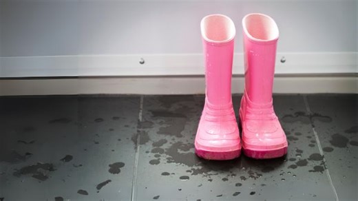 Seattle weather forecast for May 29: Potential for light rain - The Weather Network