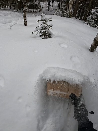 snow rider 3d in real life #snowrider #traineau #luge #offroad #neige