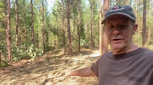 137K views · 5.8K reactions | Quick video from our founder, Ward Burton, sharing an update on a forestry project and why proper forestry management is a great practice for all landowners. | The Ward Burton Wildlife Foundation | Facebook