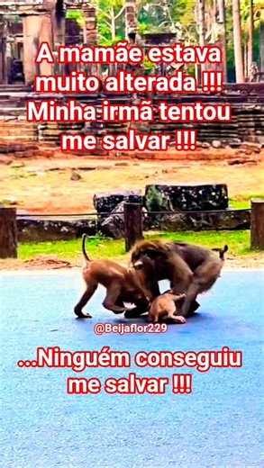 Ninguém conseguiu me salvar !!! #mamãe #cruel #selva #shortsvideo