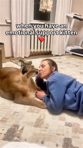 Big Floppa / Большой Шлёпа | After a long day, you know that your kitten Gosha always has your back ❤️. | Instagram