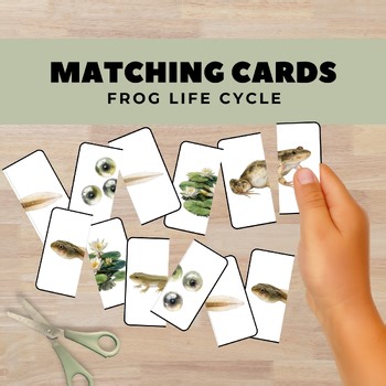 Frog Life Cycle Matching Cards, Science Activity, Homeschool Printable