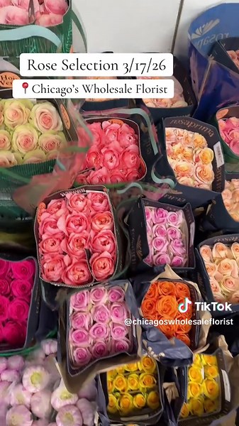 Come grab some beautiful roses to lighten someone’s day today🌹 📍4108 w division st, Chicago, IL, 60651 #chicagoswholesaleflorist #roses #chicagowholesaleflowers #flowers