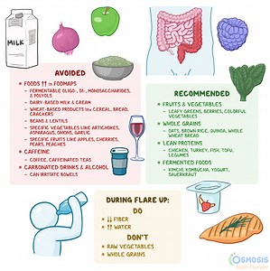 Ulcerative Colitis Diet: What Is It, Foods to Include and Avoid | Osmosis