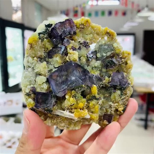 Purple window fluorite #crystalmineralspecimens #finemineralsforsale #mineralscollector #crystalwholesaler #crystalshop #crystaltok🔮 #crystalminerals #crystallove #mineralcollection #crystaltok