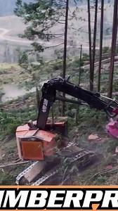 46K views · 401 reactions | @timberpro1 with sister company @quadcoequipment make for an industry leading combination. | TimberPro Inc | Facebook