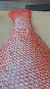 13K views · 178 reactions | Monster Queen Red Snapper Fish Cutting Skills #fbreelsfypシ゚viralfbreelsfypシ゚viral #fishcutting #shortvideo #reelsvideo #viralvideo #followers #foryoupage #foryou #shorts #fyp | SH Fresh & Fish | Facebook