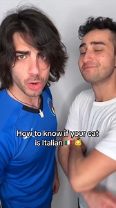 How to know if your cat is italian #lionfieldmusic #funny #comedy #cat #italian #reels | Lionfield