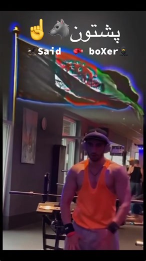 Exploring the Boxer Dog Breed Characteristics