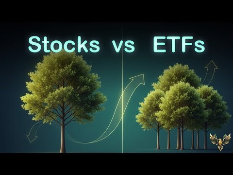 Stocks vs ETFs/What Beginners Should Actually Invest In?