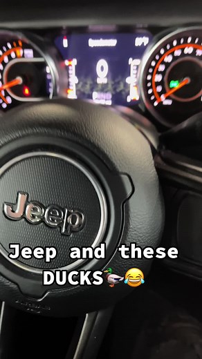Jeep Ducks: The Meaning Behind the Quirky Trend Explained