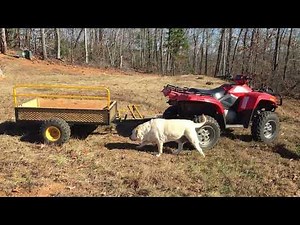 Polar HDM1400 trailer review