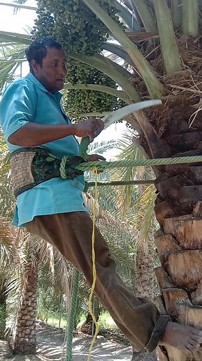 মিজান মোল্লা على TikTok