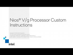Nios® V/g Processor Custom Instructions