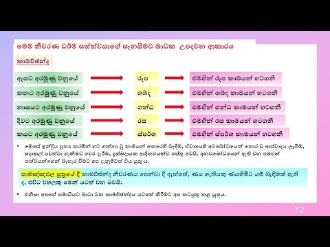 Buddhism - Grade 11 - Lesson 4 ( Part 1 ) - සමාධිගත සිතක මහිම