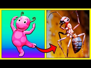 What Backyardigans Characters Would Look Like in Real Life