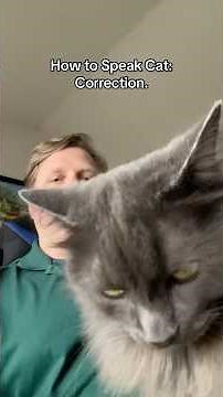 How to Speak Cat: A Correction… #cat