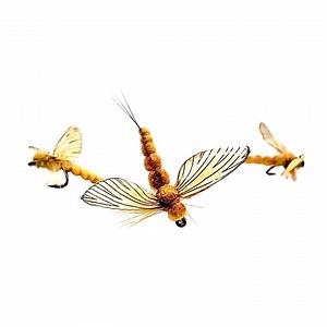 3 Mayfly Spent Sulphur – Hand-tied Premium Dry Flies for Discerning Grayling and Brown Trout Anglers – Realistic Design - Etsy Canada
