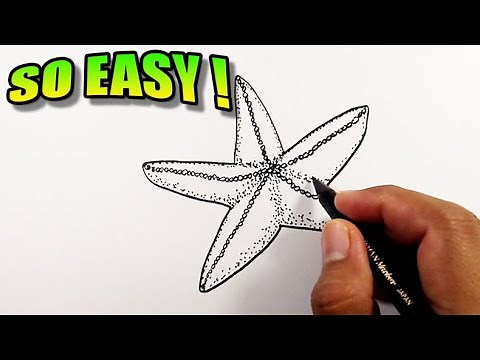 How to draw a starfish | Easy Drawings