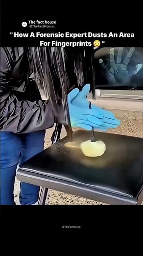 How a Forensic Expert Dusts for Fingerprints
