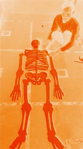 “Thermocol Human Skeleton 💀 | Can You Name All Bones? 😳 #shorts