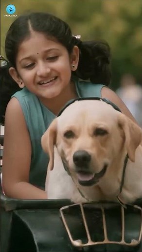Bonding | Watch the 8K Video Song Now | 777 Charlie | Rakshit Shetty | Sangeetha Sringer