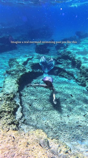 Don’t mind me— just a mermaid swimming by 🌊🧜🏼‍♀️ #mermaid #mermaidswimmimg #underwater #swim #realmermaid