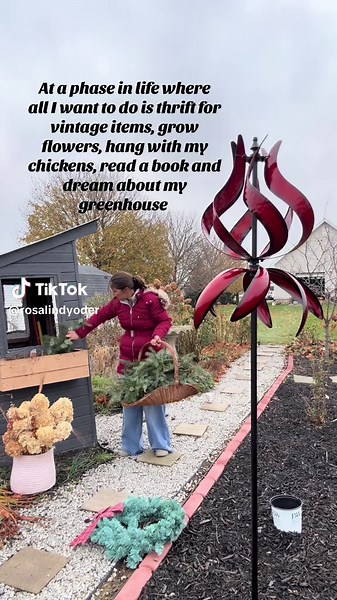 Growing Flowers from Seed in a Cozy Greenhouse