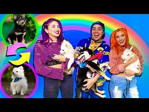 INTERCAMBIAMOS DE MASCOTAS POR 24 HORAS CON YOLO AVENTURAS - Coloridas