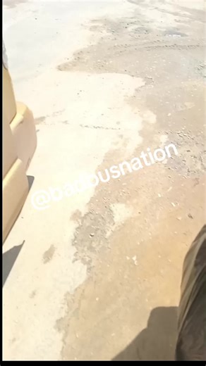 bad bus nation on TikTok