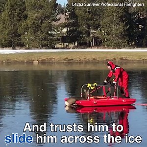 It's real life Bambi on ice! ♥️❄️ | Daily Mail Video