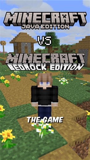 WHY MINECRAFT JAVA AND BEDROCK SEEDS ARE SO DIFFERENT! #minecraft #java #bedrock