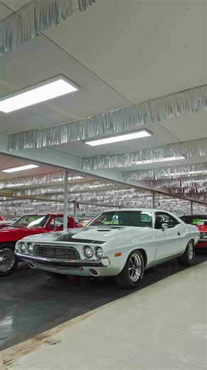 Volo Museum Auto Sales on TikTok