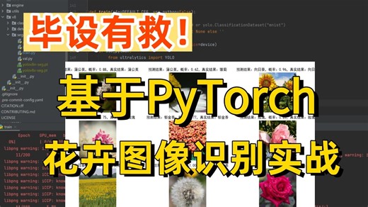 研一、研二必看！AI大佬手把手带你基于Pytorch框架的【花卉图像识别】模型实战，附完整数据集！零基础小白也能上手，全篇通俗易懂！AI/花朵识别/计算机视觉