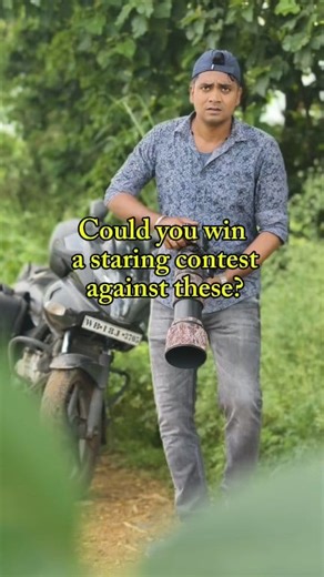 Could you win a staring contest against these??? Nikon D7500 with Nikkor 200-500mm #riyajul_wildlife #riyajul_photography #reelkarofeelkaro #reelitfeelit #birdphotography #birdwatching #wildlifephotographer #wildlifephotography #naturelovers #birdslover | Riyajul Islam